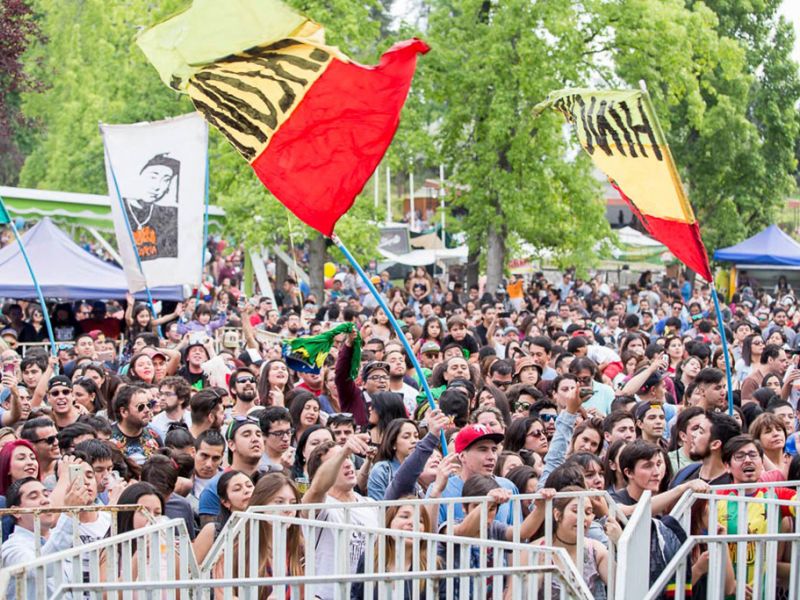 MASIVOS-FCERVECERA-VIZ-09